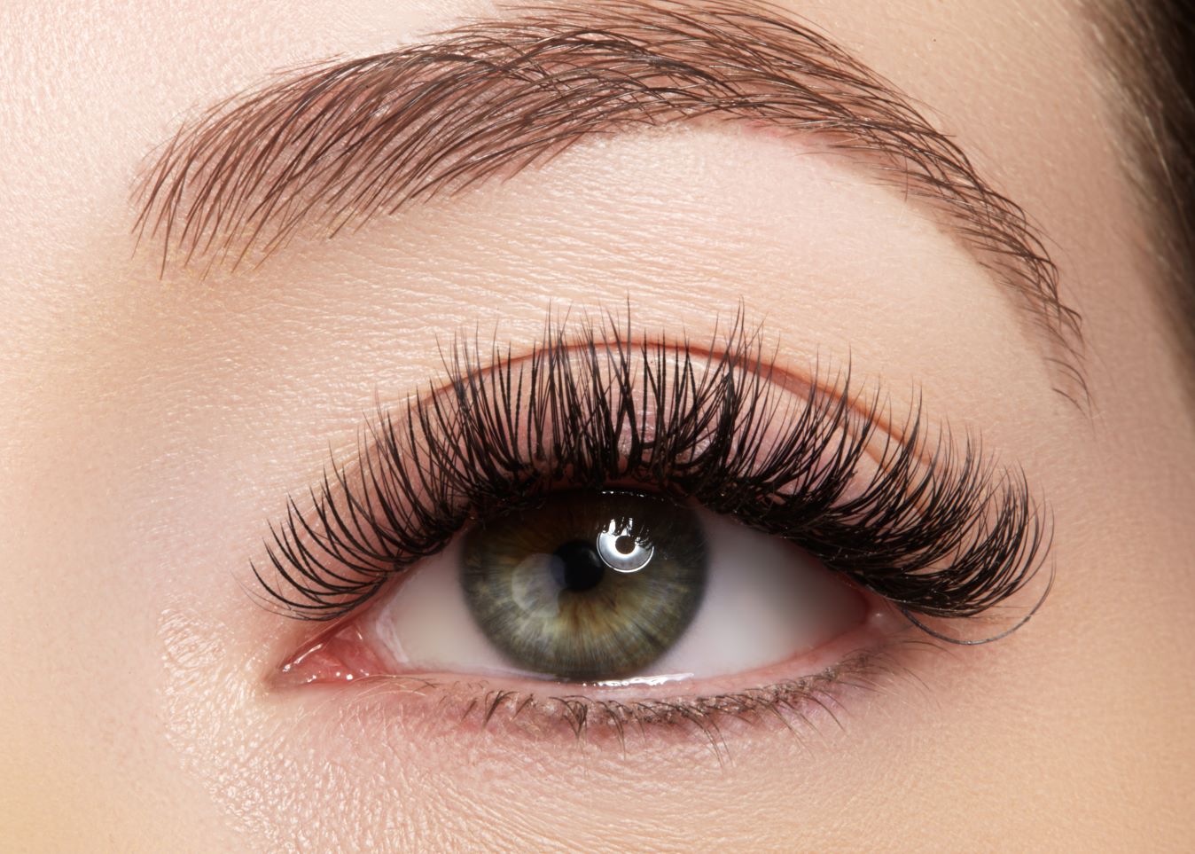 Lash & Tint